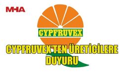 CYPFRUVEX’TEN ÜRETİCİLERE DUYURU: VALENSİYA TÜRÜ PORTAKALLAR İÇİN SIKMA TESİSİ BAŞVURULARI BAŞLADI