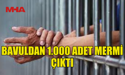 78 YAŞINDAKİ ŞAHIS HAVA TÜFEĞİ MERMİSİYLE YAKALANDI