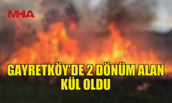 GAYRETKÖY’DE BAHÇE YANGINI: 26 AĞAÇ KÜLE DÖNDÜ