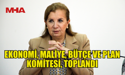 EKONOMİ, MALİYE, BÜTÇE VE PLAN KOMİTESİ, TOPLANDI