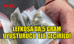 EVİNDE HİNTKENEVİRİ BULUNAN ŞAHIS GÖZALTINA ALINDI