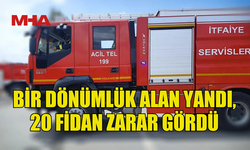 ÇAMLIKÖY’DE YANGIN: LİMON FİDANLARI KÜL OLDU