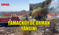 YAMAÇKÖY’DE ORMAN YANGINI ÇIKTI