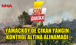 YAMAÇKÖY’DE ÇIKAN YANGIN KONTROL ALTINA ALINAMADI