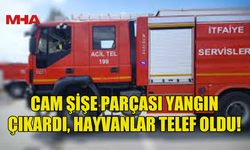 GÜVERCİNLİK’TE AĞILDA YANGIN: HAYVANLAR TELEF OLDU