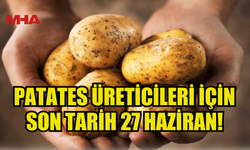 İLKBAHAR PATATES BEYANLARINA İTİRAZLAR İÇİN SON GÜN 27 HAZİRAN