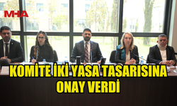 İKİ YASA TASARISI DAHA KOMİTEDEN GEÇTİ