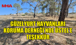 GÜZELYURT HAYVANLARI KORUMA DERNEĞİ’NDEN BAŞBAKAN ÜSTEL’E TEŞEKKÜR
