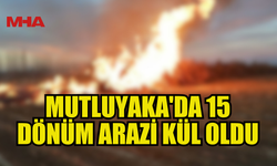 MUTLUYAKA'DA 15 DÖNÜM ARAZİ YANDI