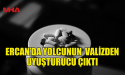 ERCAN'DA YOLCUNUN VALİZİNDE HİNTKENEVİRİ KALINTISI TAŞIYAN ÖĞÜTÜCÜ BULUNDU