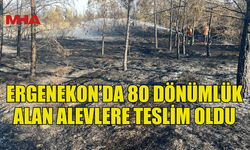 ERGENEKON’DA 80 DÖNÜMLÜK ALAN ALEVLERE TESLİM OLDU