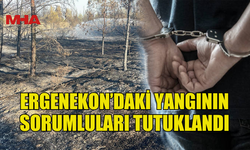 ERGENEKON'DA KAYNAK KIVILCIMI YANGIN ÇIKARDI, İKİ KİŞİ TUTUKLANDI