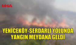 YENİCEKÖY-SERDARLI YOLUNDA YANGIN