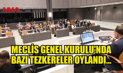 MECLİS GENEL KURULU'NDA BAZI TEZKERELER OYLANDI...