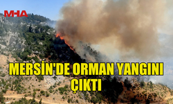 MERSİN'DE ORMAN YANGINI ÇIKTI