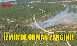 İZMİR'DE ÇIKAN ORMAN YANGININA MÜDAHALE EDİLİYOR