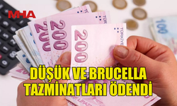 DÜŞÜK VE BRUCELLA TAZMİNATLARI ÖDENDİ
