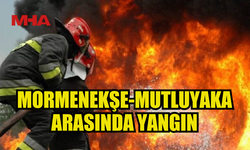 MORMENEKŞE-MUTLUYAKA ARASINDA YANGIN MEYDANA GELDİ