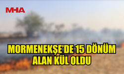 15 DÖNÜMLÜK ALAN ALEV ALEV YANDI