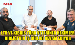 LTB VE VETERİNER HEKİMLER BİRLİĞİ İŞBİRLİĞİNDE BUGÜNE DEK BİN 600 KÖPEK KISIRLAŞTIRILDI