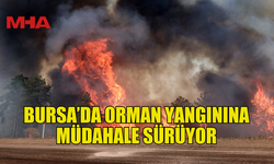 BURSA’DA ORMAN YANGINA MÜDAHALE SÜRÜYOR