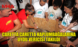 CARETTA CARETTA KAPLUMBAĞALARINA UYDU VERİCİSİ TAKILDI