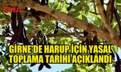 GİRNE’DE HARUP TOPLAMAYA BAŞLAMA TARİHİ 15 AĞUSTOS...