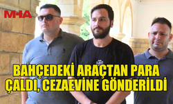 PARK HALİNDEKİ ARAÇTAN PARA ÇALDI‚ CEZA EVİNE GÖNDERİLDİ