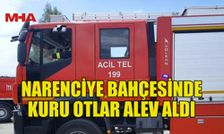 AKÇAY’DA NARENCİYE BAHÇESİNDE YANGIN