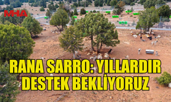 GÜZELYURT HAYVANLARI KORUMA DERNEĞİ BAŞKANI SARRO’DAN BELEDİYEYE ELEŞTİRİ