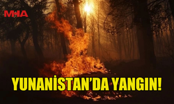 YUNANİSTAN'DAKİ SEREZ VE OREOKASTRO'DA ORMAN YANGINI ÇIKTI