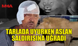 MANAVGAT’TA HAYVAN PARKINDAN KAÇAN ASLAN TARLADA UYUYAN KİŞİYE SALDIRDI!