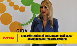 GIDA MÜHENDİSLERİ ODASI'NDAN “DELİ DANA" KONUSUNDA ÖNLEM ALMA ÇAĞRISI