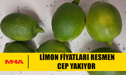 6 ADET LİMONUN FİYATI DUDAK UÇUKLATTI