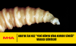 ABD'DE İLK KEZ "YENİ DÜNYA VİDA KURDU SİNEĞİ" VAKASI GÖRÜLDÜ