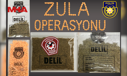 ZULA OPERASYONU KAPSAMINDA 250 GRAM YASAKLI MADDE BULUNDU