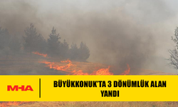 BÜYÜKKONUK’TA 3 DÖNÜMLÜK ALAN KÜL OLDU