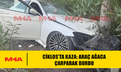CİKLOS’TA KAZA: ARAÇ AĞACA ÇARPARAK DURDU