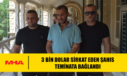 3 BİN DOLAR SİRKAT EDEN ŞAHIS TEMİNATA BAĞLANDI