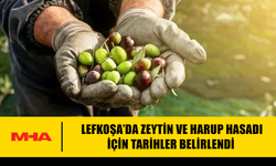 LEFKOŞA’DA ZEYTİN VE HARUP HASADI İÇİN TARİHLER BELİRLENDİ