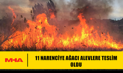 AYDINKÖY’DE NARENCİYE BAHÇESİNDE YANGIN