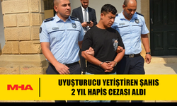 YASAKLI MADDE  YETİŞTİREN ŞAHIS 2 YIL HAPİS CEZASI ALDI