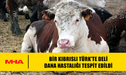 BİR KIBRISLI TÜRK'TE DELİ DANA HASTALIĞI TESPİT EDİLDİ