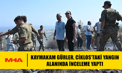 KAYMAKAM GÜRLER, CİKLOS’TAKİ YANGIN ALANINDA İNCELEME YAPTI
