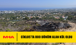 CİKLOS’TA 800 DÖNÜM ALAN KÜL OLDU