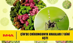 ÇİN'DE CHİKUNGUNYA VAKALARI 7 BİNİ AŞTI