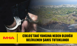 CİKLOS’TAKİ YANGINA NEDEN OLDUĞU BELİRLENEN ŞAHIS TUTUKLANDI