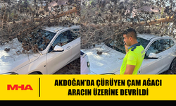 AKDOĞAN’DA ÇÜRÜYEN ÇAM AĞACI ARACIN ÜZERİNE DEVRİLDİ