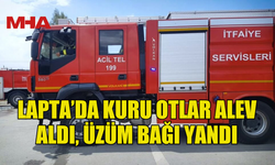 LAPTA’DA ÜZÜM BAĞI ALEVLERE TESLİM OLDU