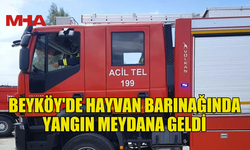 BEYKÖY'DE HAYVAN BARINAĞINDA YANGIN MEYDANA GELDİ